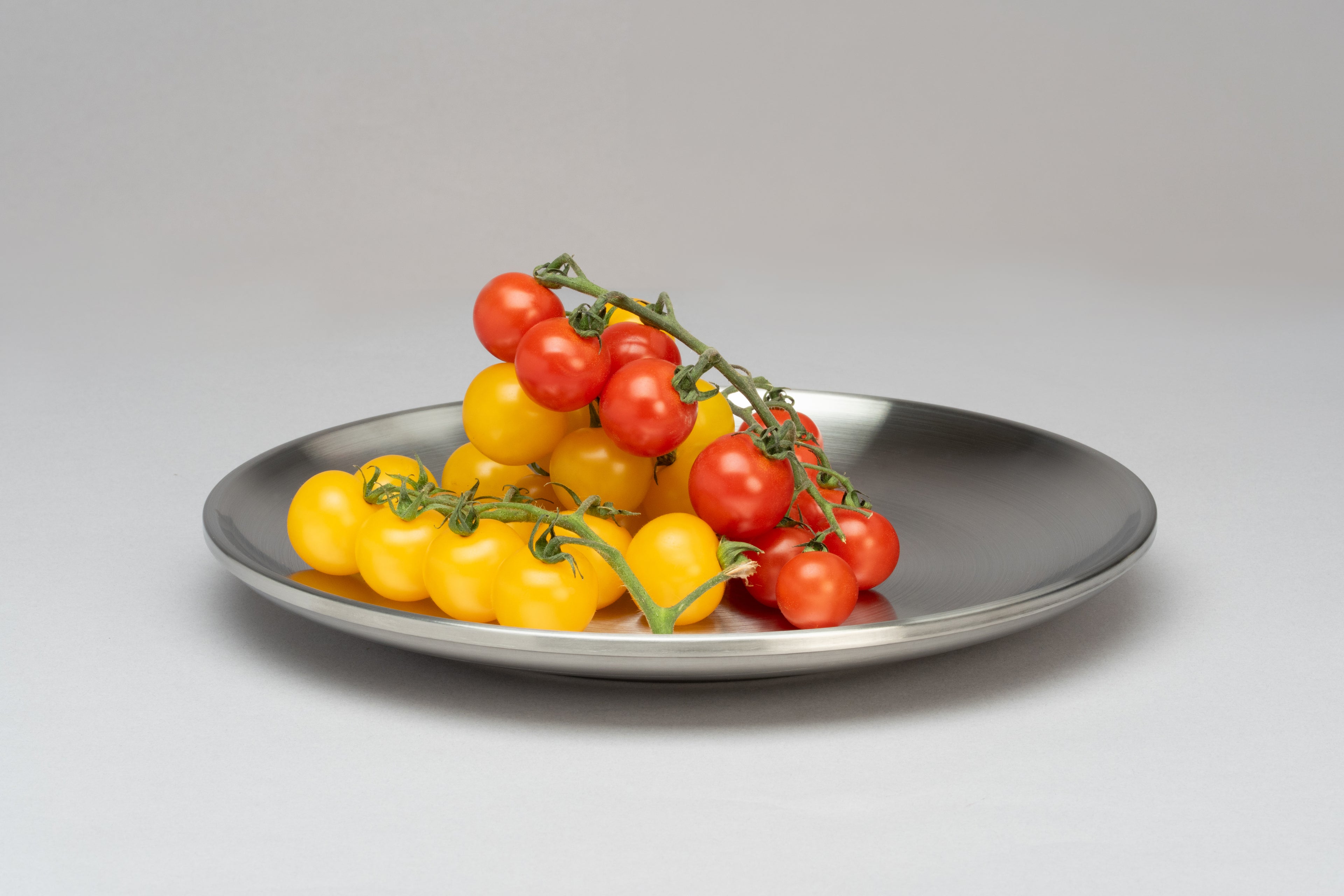 Dinner Plate